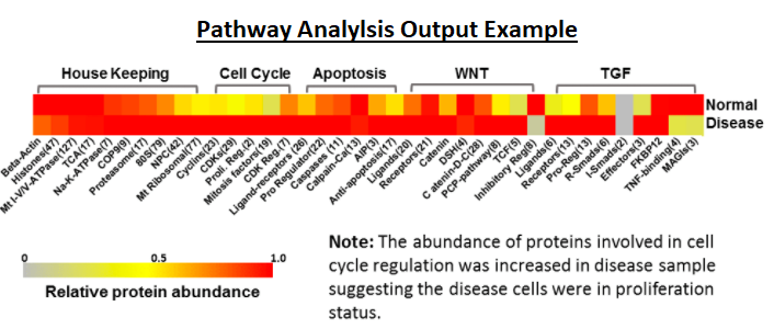 pathway analysis