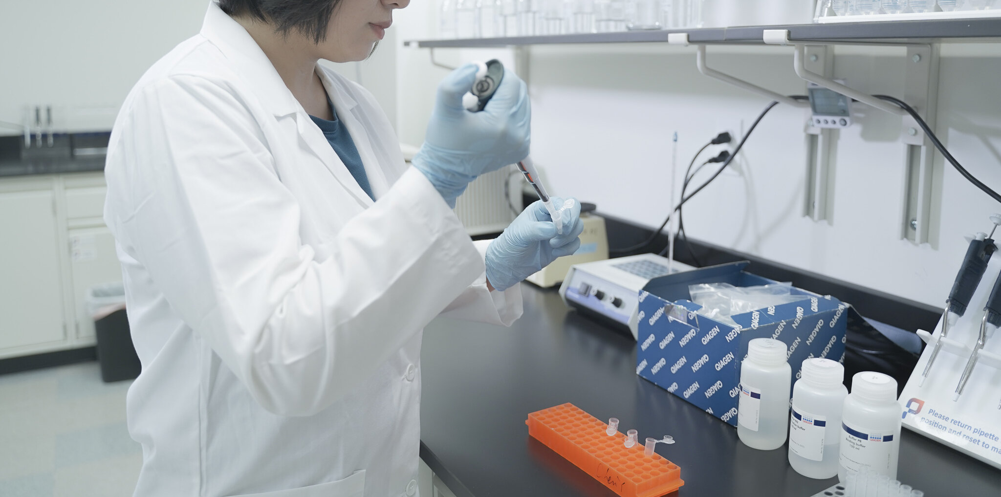 plasmid preparation