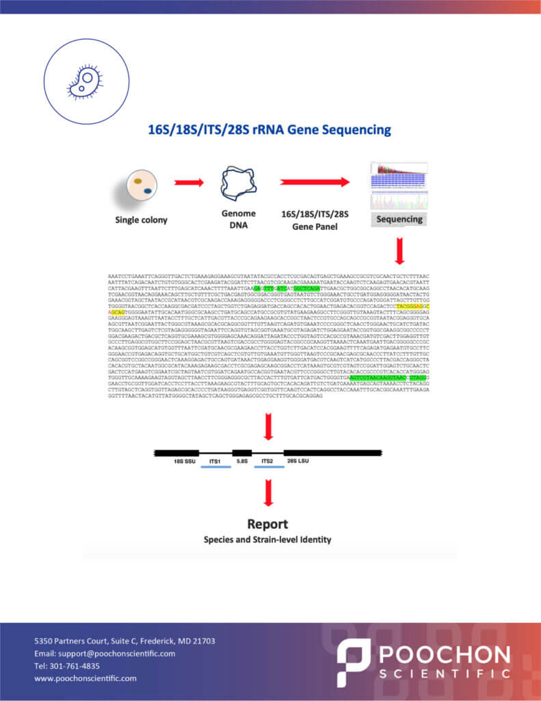 Tech Notes_Microbial Identification